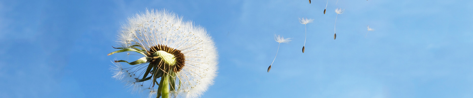 UG环球,UG环球官网重机集团股份有限公司