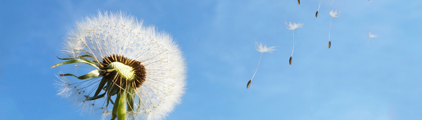 UG环球,UG环球官网重机集团股份有限公司