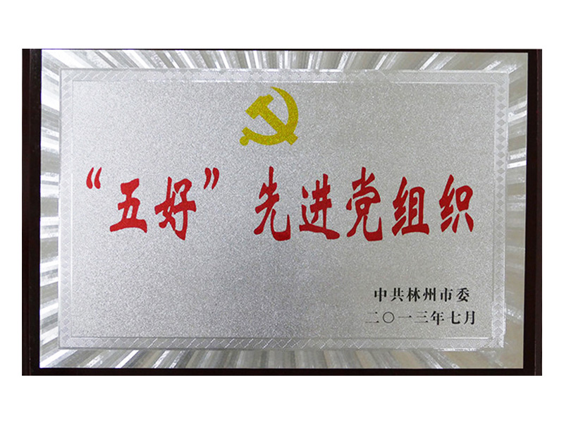 2013年UG环球,UG环球官网市五好先 进党组织